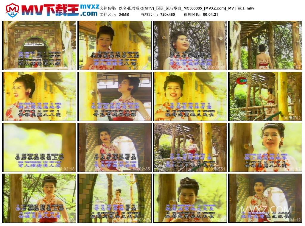 佚名-配对成双(MTV)_国语_流行歌曲_MC303085